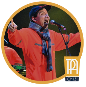 Sinergia Selector banda Portal de Artistas Chile